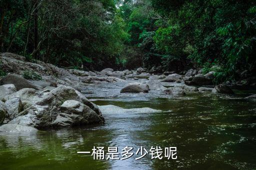 一桶是多少钱呢