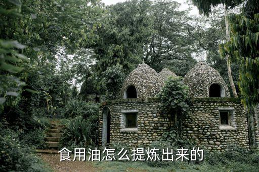  食用油怎么提炼出来的