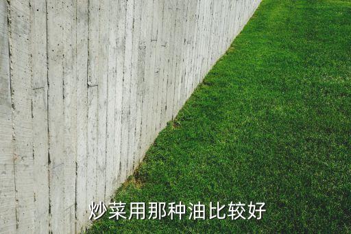  炒菜用那种油比较好