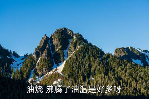 油烧 沸腾了油温是好多呀