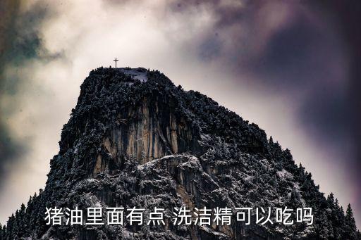 猪油里面有点 洗洁精可以吃吗