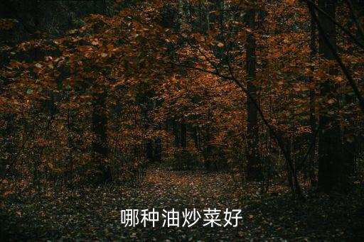 哪种油炒菜好