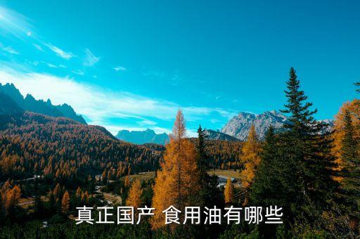 真正国产 食用油有哪些