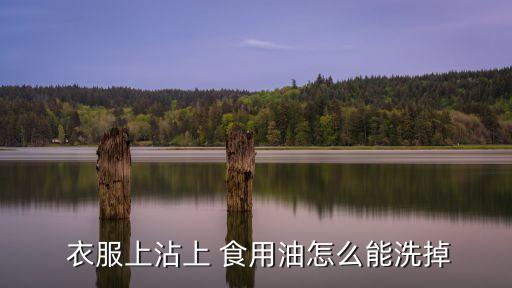 衣服上沾上 食用油怎么能洗掉