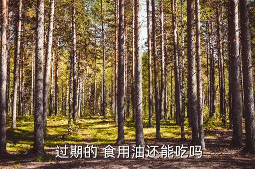  过期的 食用油还能吃吗