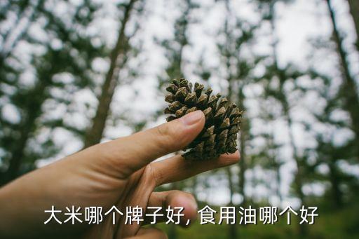  大米哪个牌子好, 食用油哪个好