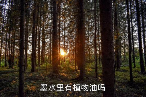 墨水里有植物油吗