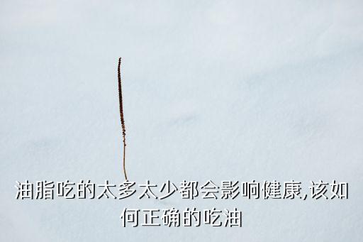 食用油怎么摄入,一个人每天摄入多少食用油