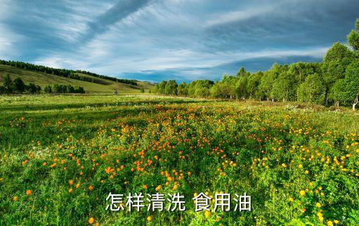 怎样清洗 食用油