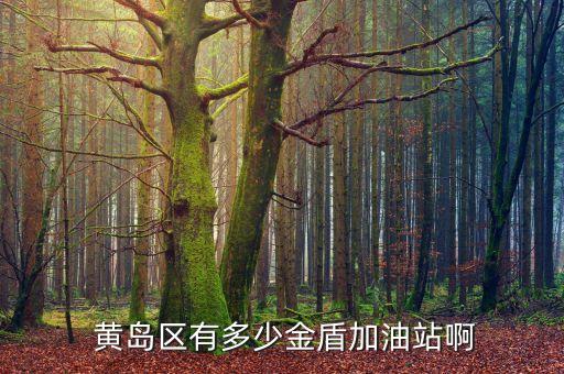 黄岛有什么食用油厂