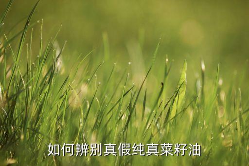 如何辨别真假纯真菜籽油