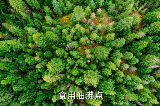  食用油沸点