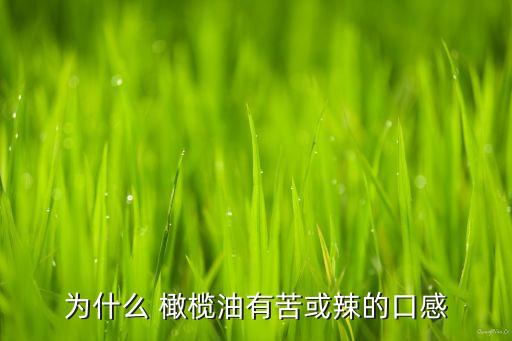 为什么 橄榄油有苦或辣的口感
