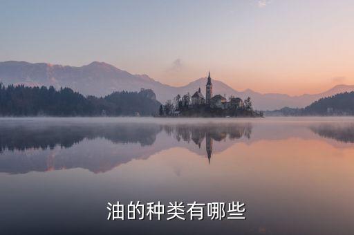 油的种类有哪些