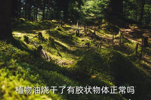 植物油烧干了有胶状物体正常吗