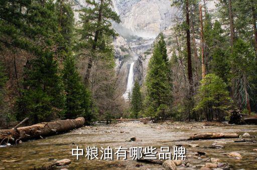 中粮油有哪些品牌