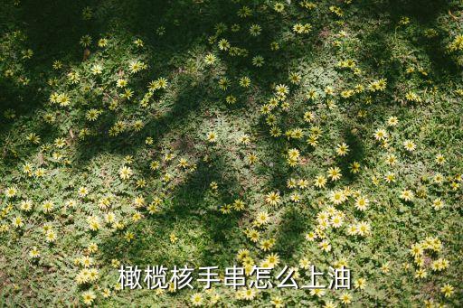 橄榄核用什么食用油,食用油可以盘橄榄核吗