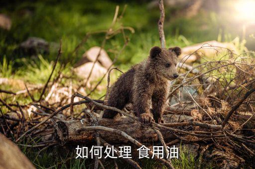 如何处理 食用油