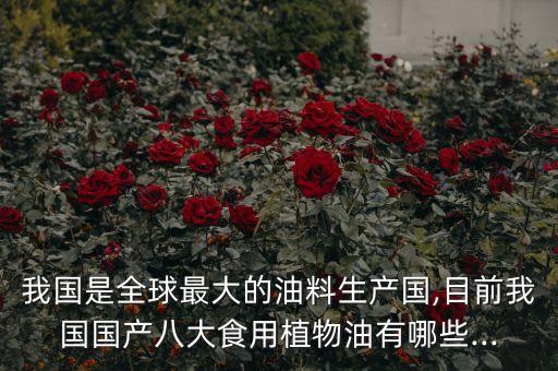 什么食用油大,什么标号的食用油好