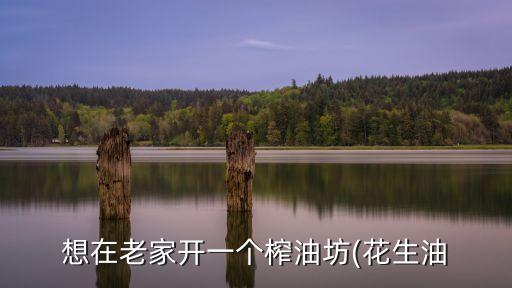 想在老家开一个榨油坊(花生油