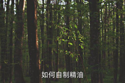 如何自制精油