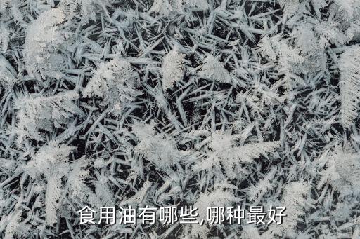  食用油有哪些,哪种最好