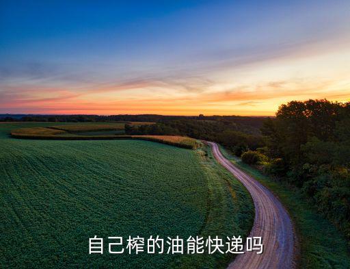 自己榨的油能快递吗