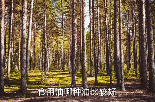 食用油哪种油比较好