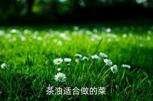 茶油适合做的菜
