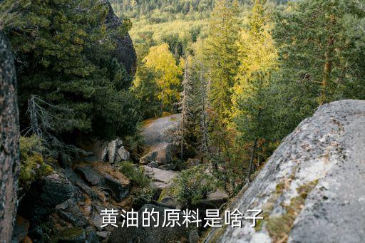 食用油加工的材料是什么,金龙鱼食用油是什么油