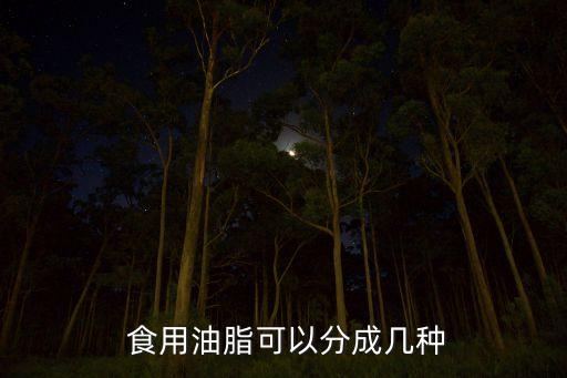  食用油脂可以分成几种