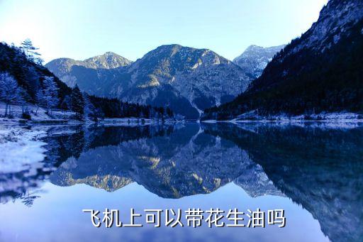  飞机上可以带花生油吗