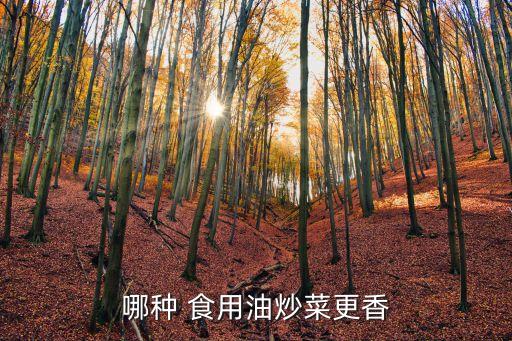 哪种 食用油炒菜更香