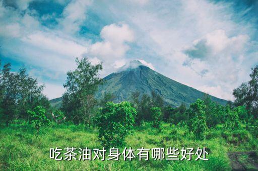 吃茶油对身体有哪些好处