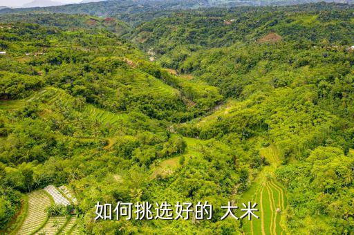 如何挑选好的 大米