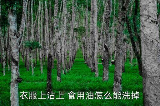 衣服上沾上 食用油怎么能洗掉