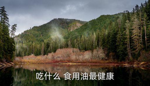 吃什么 食用油最健康