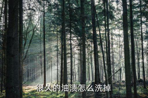 很久的油渍怎么洗掉
