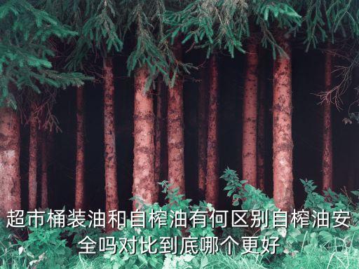 超市桶装油和自榨油有何区别自榨油安全吗对比到底哪个更好