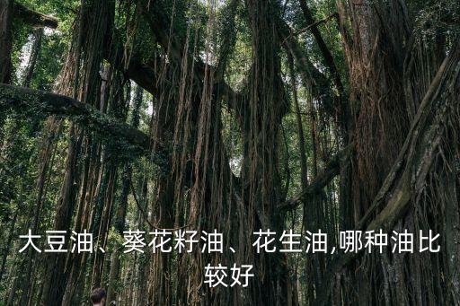 大豆油、葵花籽油、花生油,哪种油比较好