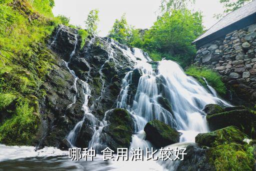 什么食用油添加剂最好,食用油允许添加的添加剂