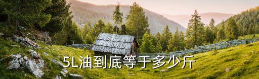 5L油到底等于多少斤