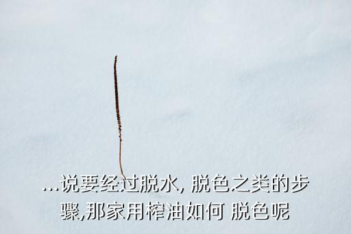 ...说要经过脱水, 脱色之类的步骤,那家用榨油如何 脱色呢