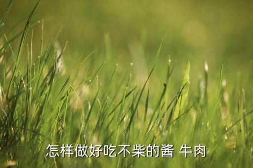 怎样做好吃不柴的酱 牛肉