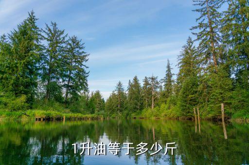 食用油一升怎么转换斤