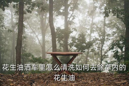 花生油洒车里怎么清洗如何去除车内的花生油