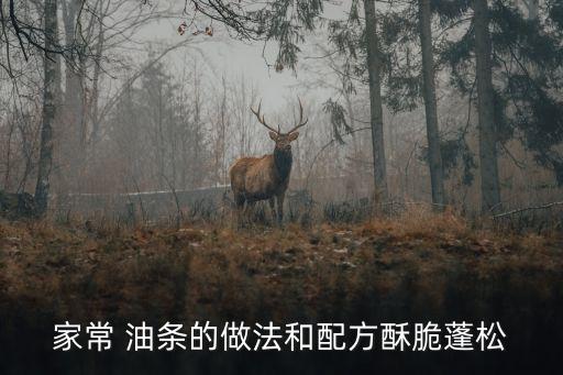 家常 油条的做法和配方酥脆蓬松