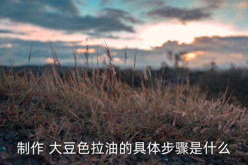 大豆食用油怎么发酵的,发酵大豆怎么做